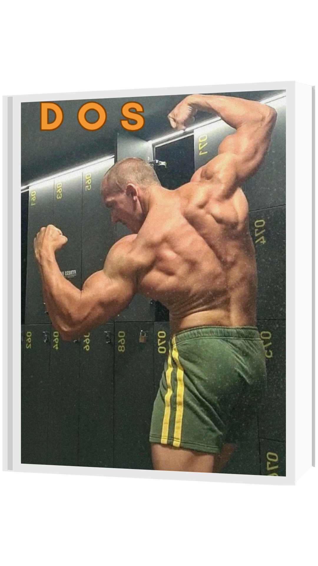 E-book Dos
