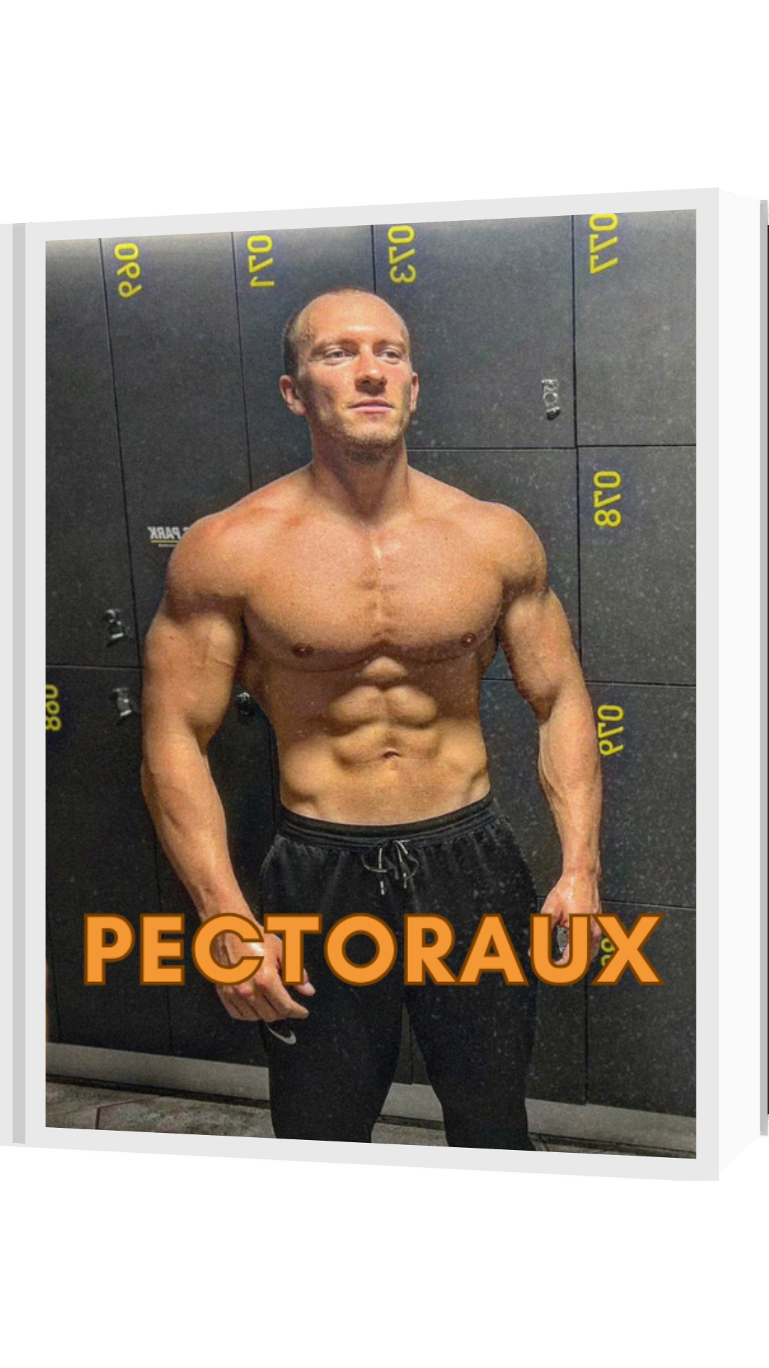 E-book Pectoraux