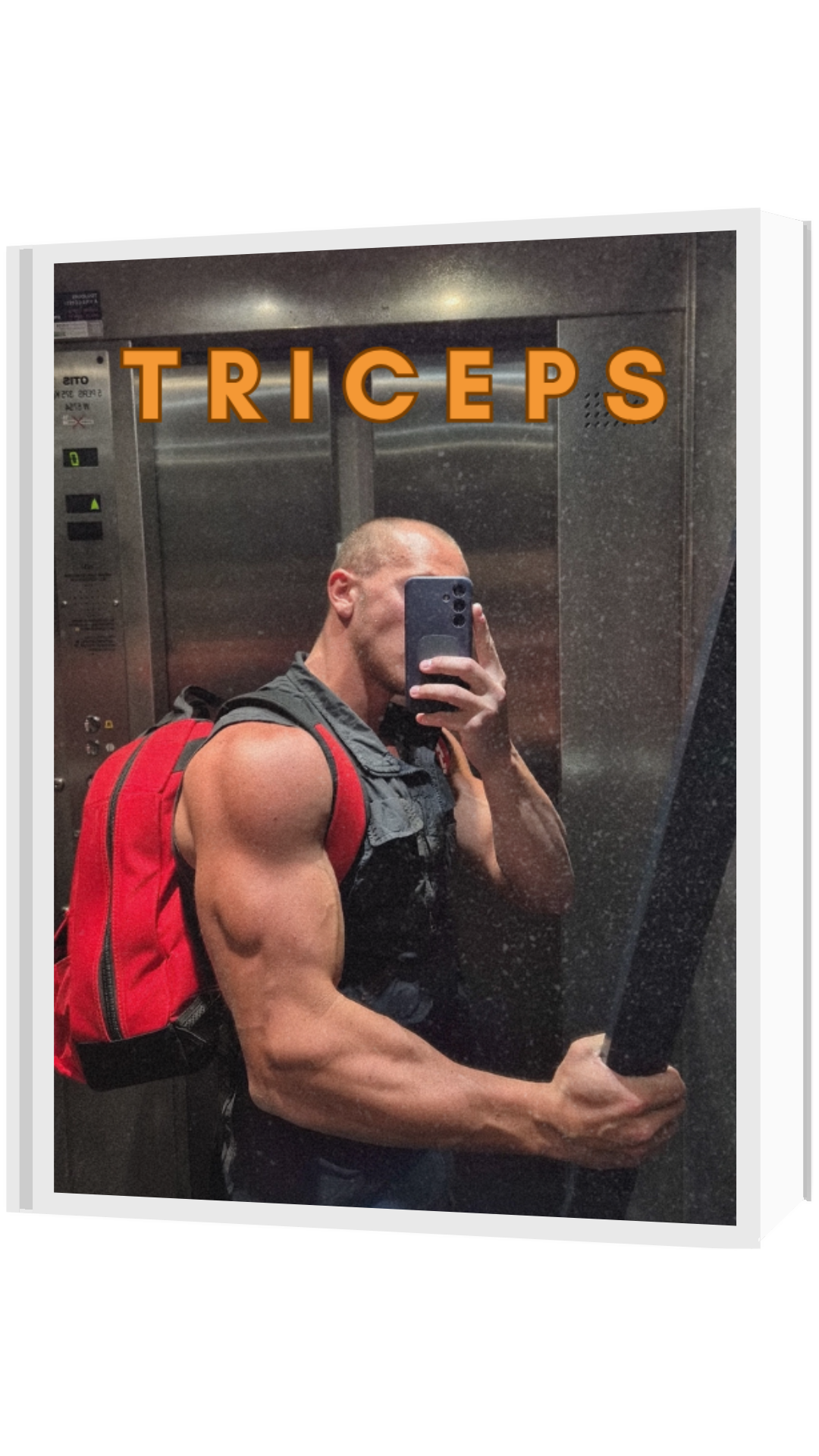 E-book Triceps